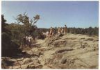 Aussichtspunkt auf dem Roßtrappenfelsen - 1986