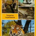 Tiergarten Hoyerswerda - Servals, Palmenroller, Wildkatzen und Amur-Tiger - 1989