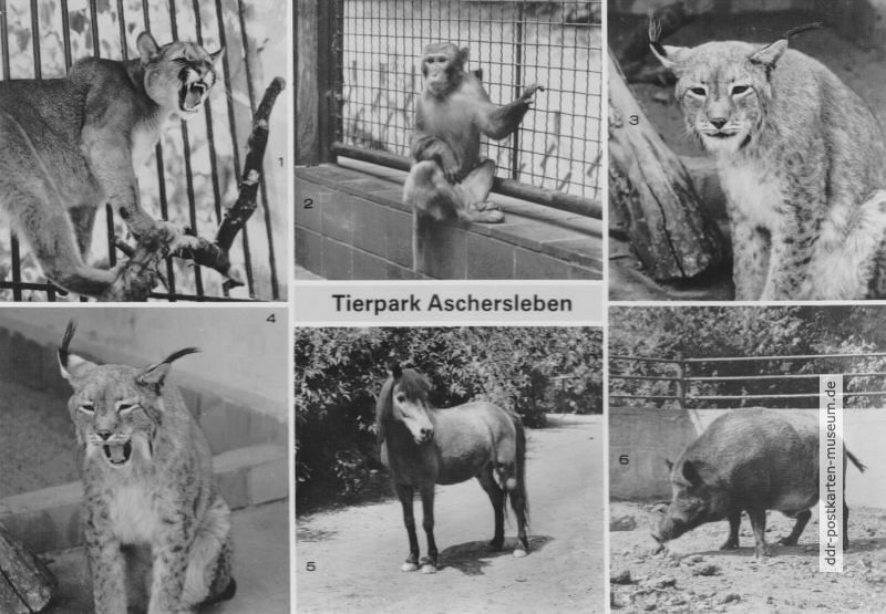 Tierpark Aschersleben - 1985