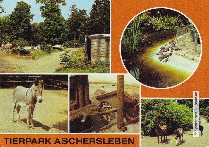 Tierpark Aschersleben - 1984