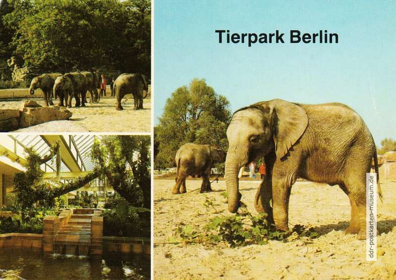 Tierpark Berlin, Dickhäuterhaus - 1990