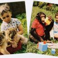 Tierpark Berlin, Kinderfotos mit Löwenbabys und Schimpansen - 1964