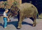 Tierpark Berlin, Kinderfoto mit Jungelefanten - 1964