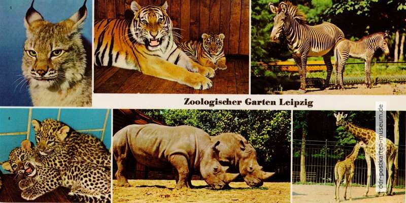 Panorama-Ansichtskarte vom Zoologischen Garten Leipzig - 1975
