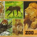 Superformat-Ansichtskarte vom Zoo Leipzig - 1987
