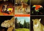 Superformat-Ansichtskarte vom Zoologischen Garten Rostock - 1981