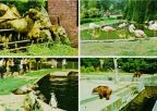 Zoologischer Garten Rostock - Kamele, Flamingos, Pinguine und Robben, Braunbäen - 1974