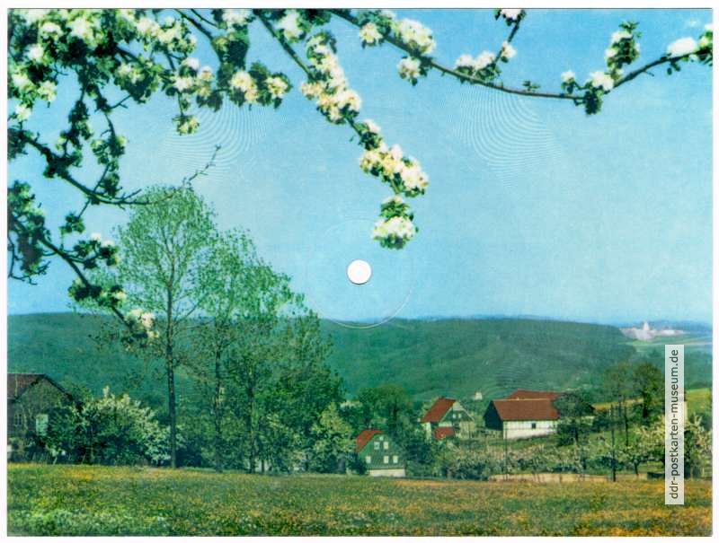 Frühling in Wildbach (Erzgebirge) mit Volkslied "Dr Vugelbeerbaam"
