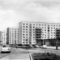 Trabis beherrschen das Straßenbild auch im Neubaugebiet an der Jakobstraße in Magdeburg - 1966