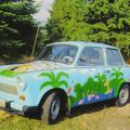 "Dschungel-Trabant 601 Limousine" aus Dommatzen - 1999