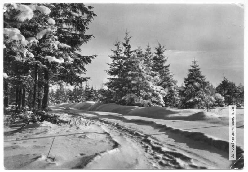 Winterlicher Harzwald bei Trautenstein - 1966