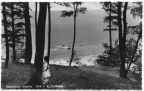 Blick von der Steilküste - 1955
