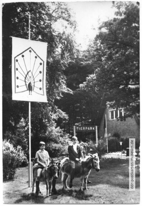 Eselreiten im Tierpark Ueckermünde - 1975
