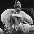 Staatszirkus der DDR, Ursula Böttcher mit Eisbärendressur - 1984