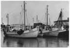 Fischkutter im Hafen von Vitte - 1981