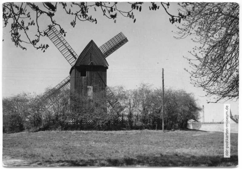 Alte Mühle in Werder (Havel) - 1961