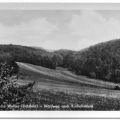Waldweg von Worbis nach Kirchohmfeld - 1958