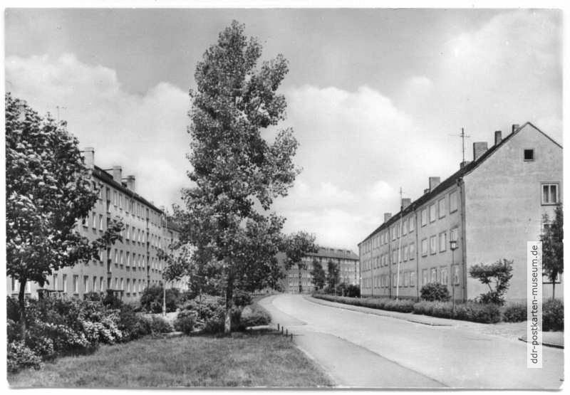Georg-Schumann-Straße - 1969