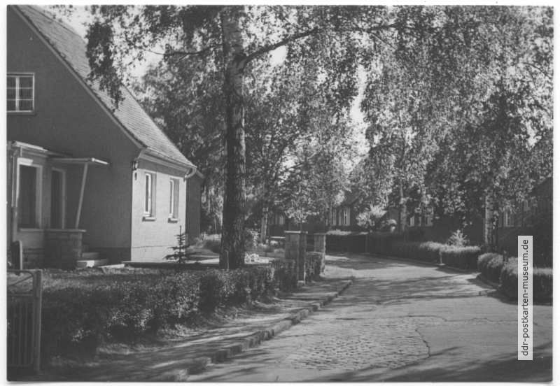 Reihenhäuser in der Bergsiedlung - 1976